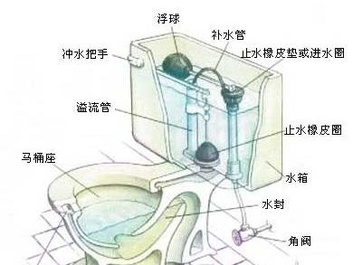 马桶水位太高怎么办如何调整水位