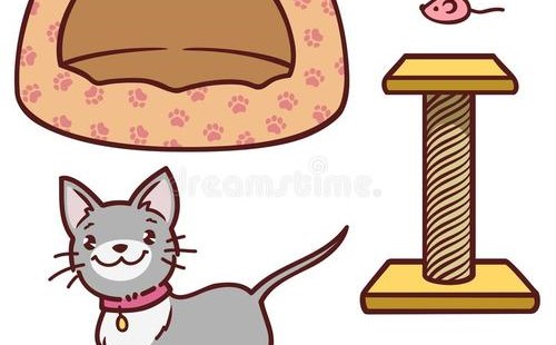如何防止老鼠進入你的房子？ 除了養貓，更多的我們要堵住洞