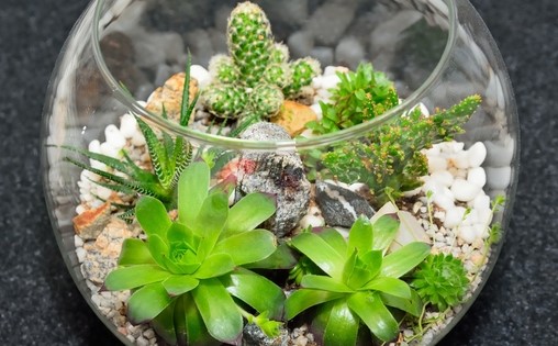 diy家居裝飾項目有哪些？