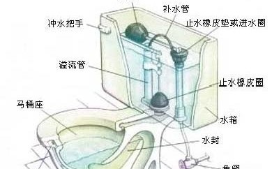 馬桶水位太高怎么辦？如何調整水位？