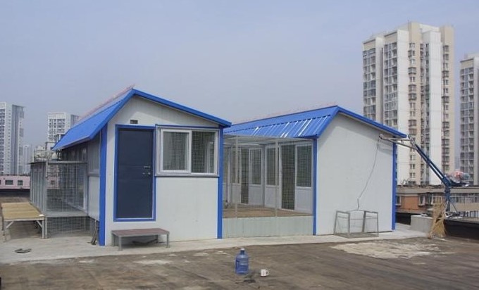 鸽子屋建造图片图片