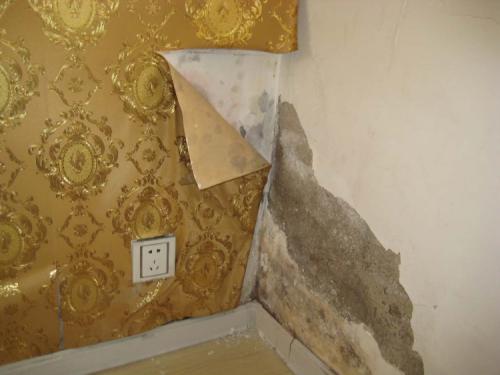 如何修复修补破损的墙纸 5个常见的墙纸问题 维修技巧 猴吉吉